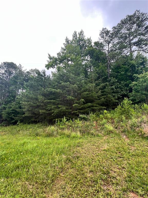 14 Lake Ct., White, GA 30184