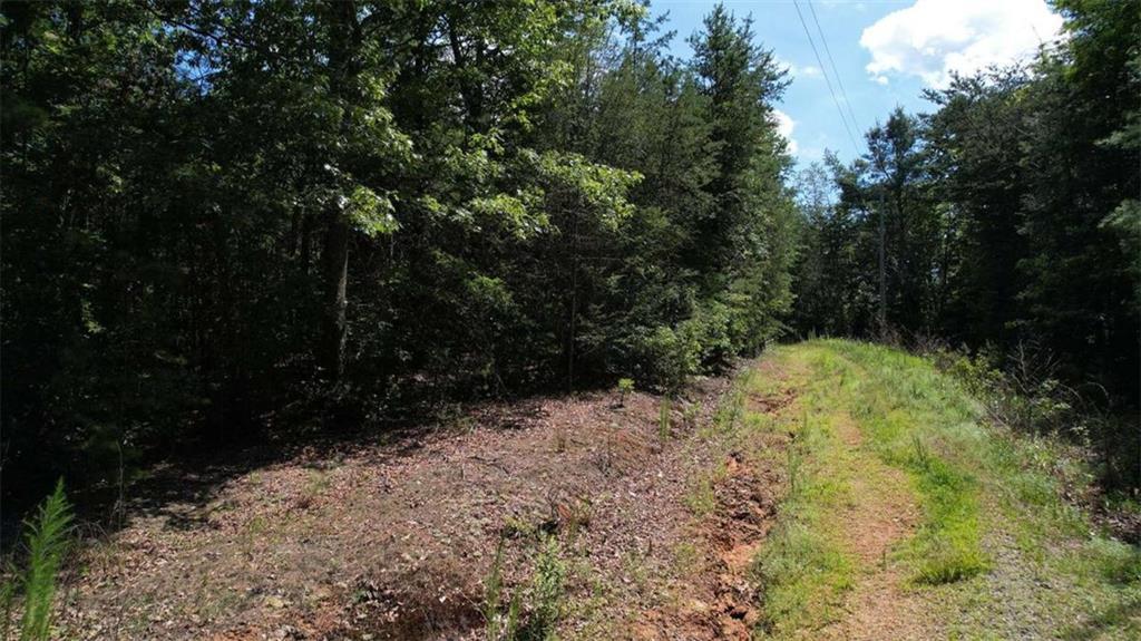 0) Flagpole Cir., Ellijay, GA 30540