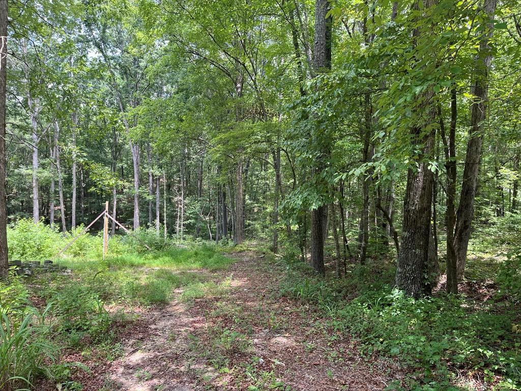 Buttrum Rd., Adairsville, GA 30103