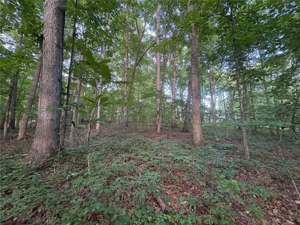 160 Hightower Lake Tr., Ball Ground, GA 30107