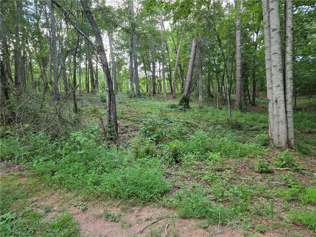 384 Tippens Rd., Canton, GA 30114