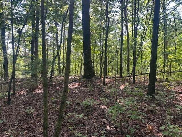TR3 - Wendy Hill Rd, Talking Rock, GA 30175