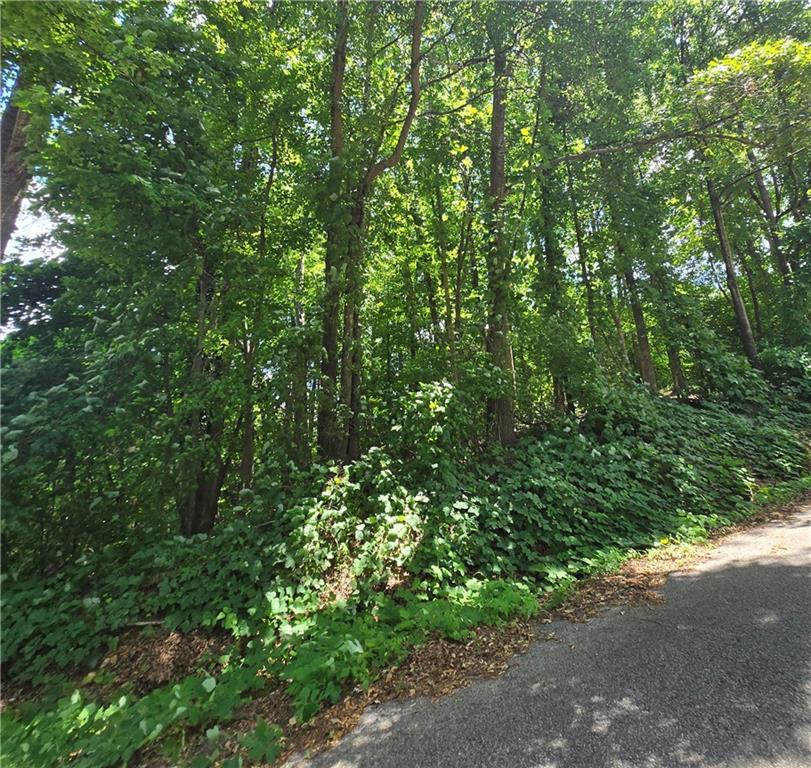 Beechwood Rd., Elberton, GA 30635