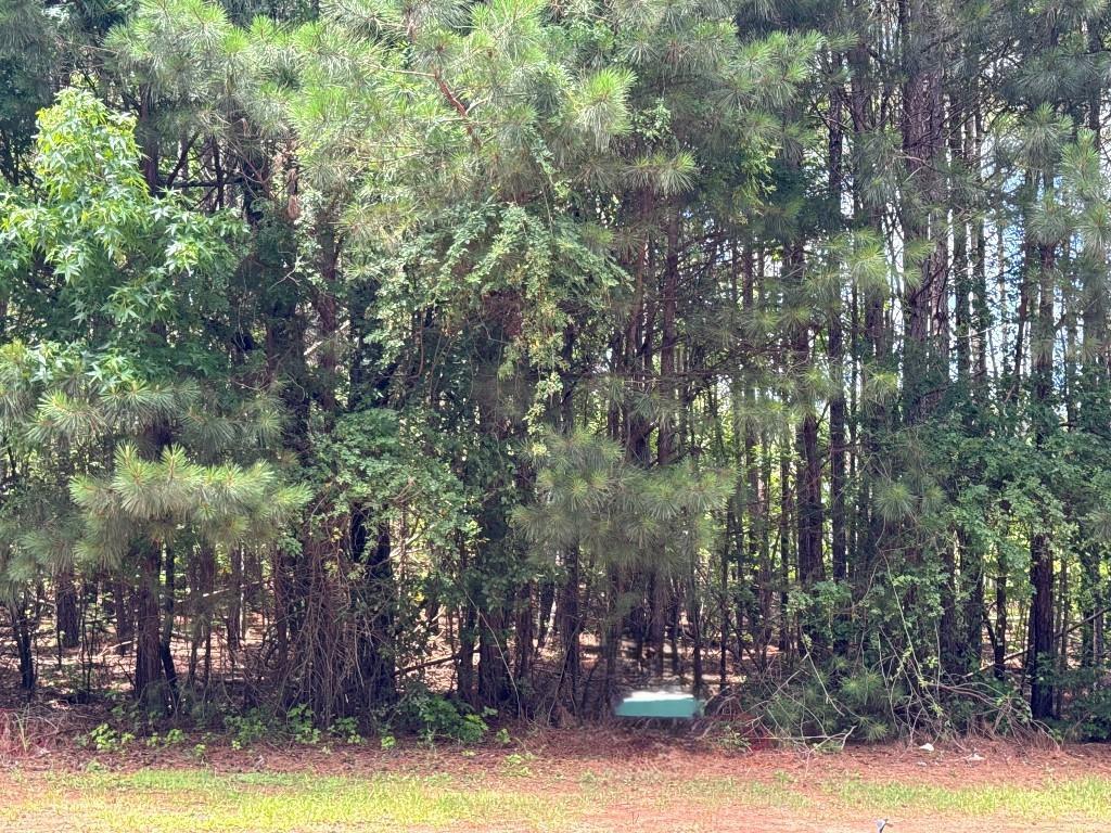 4309 Giverney Blvd., Fairburn, GA 30213