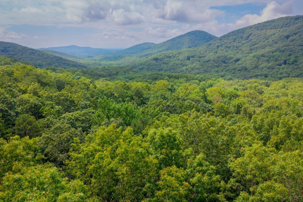 25 Lady Slipper Ln., Big Canoe, GA 30143