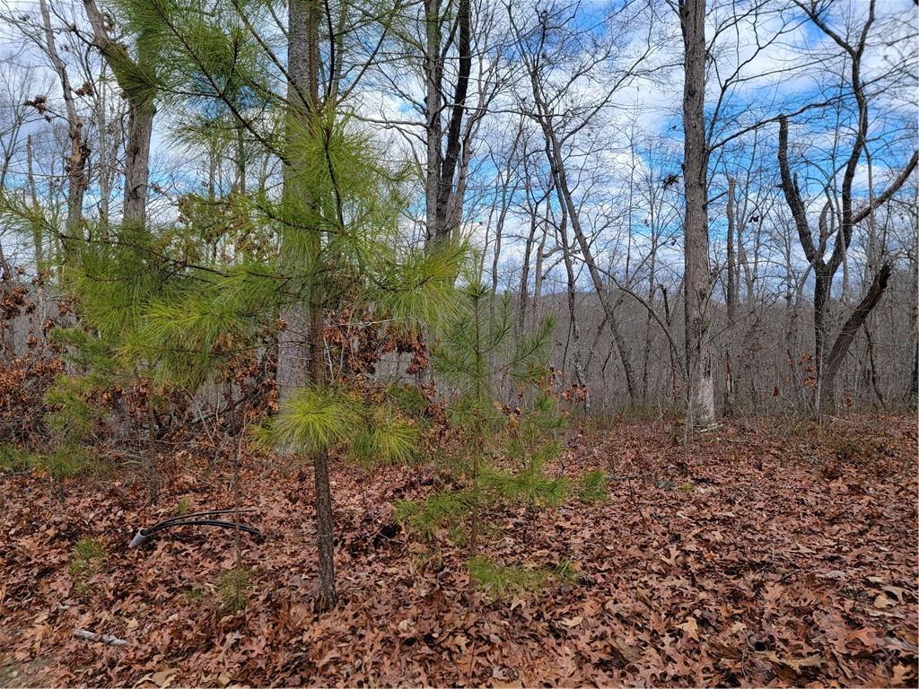 Harris Creek Dr., Ellijay, GA 30540