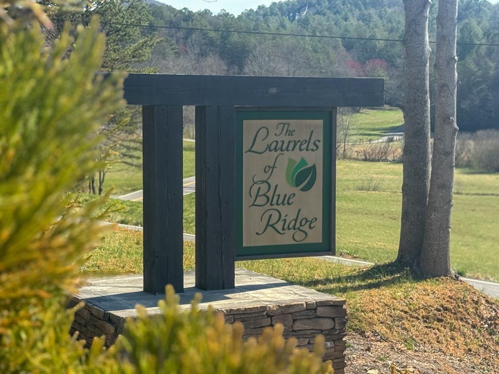 LOT 55 Mountain Laurel Ridge, Mineral Bluff, GA 30559