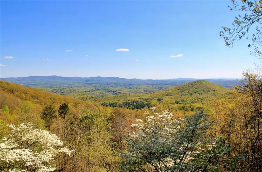 346 Walnut Ridge, Ellijay, GA 30536