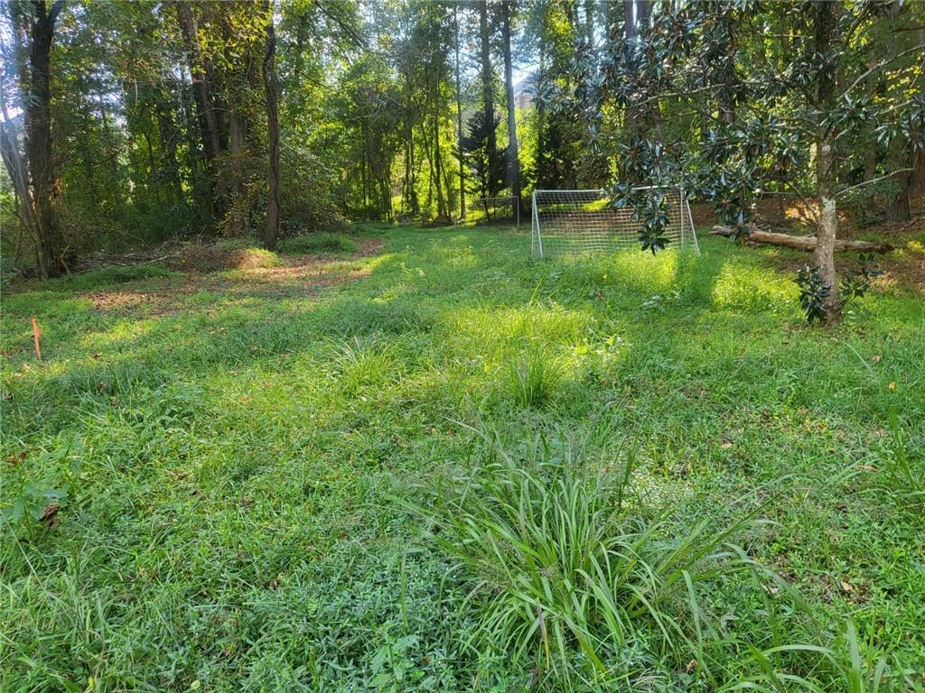Peace Valley Dr., Atlanta, GA 30349