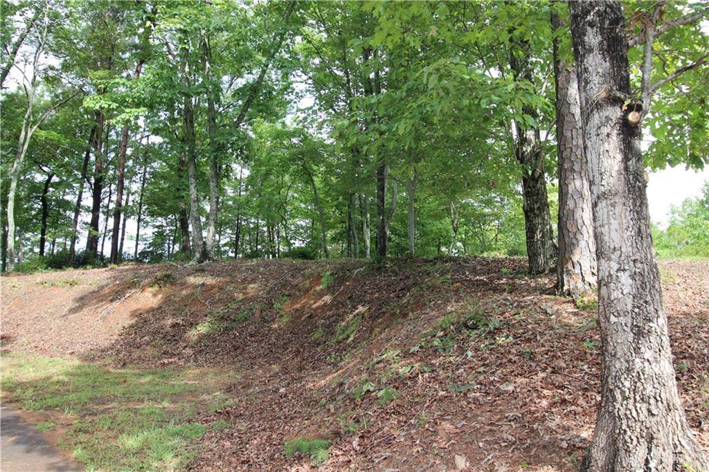 1034 Ainu Ct., Dahlonega, GA 30533