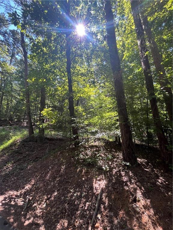 Apple Rd., Ranger, GA 30734