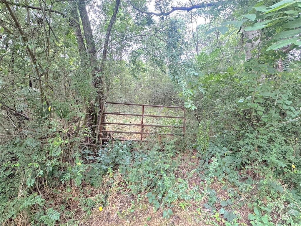 00 Lewis Rd., Cartersville, GA 30121