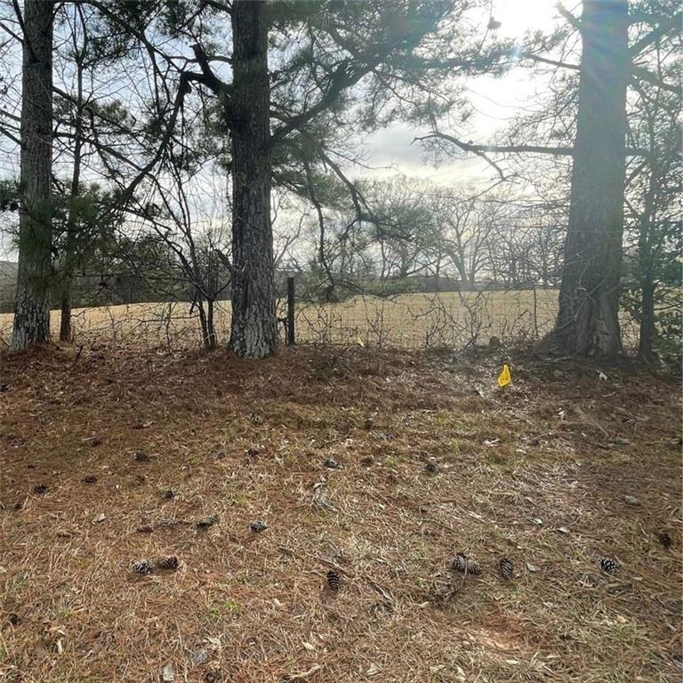 Hwy 29 Sou, Lawrenceville, GA 30045