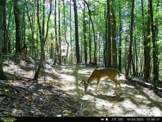 2691 Old Burnt Mountain Rd., Jasper, GA 30143