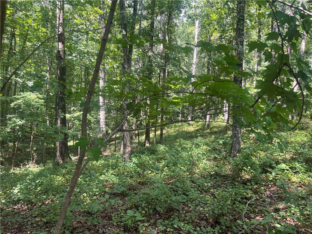 2055 Henry Scott Rd-lot B 3.7 Acres, Ball Ground, GA 30107