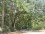 New Homes For Sale This Week in Hogansville: July 25th to July 31st