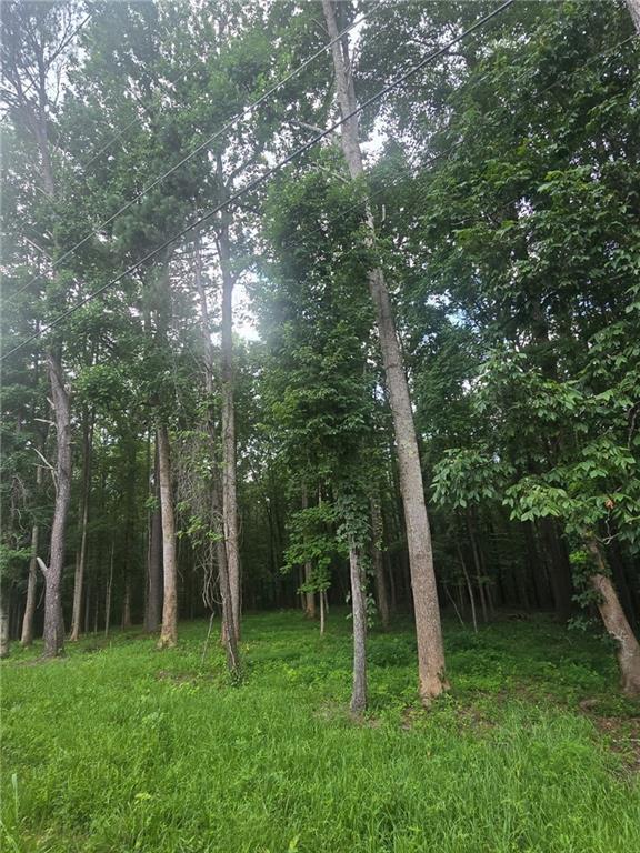 6147 Little Ridge Rd., Acworth, GA 30102
