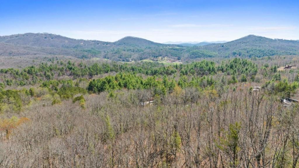 40A Synacia Rd., Mineral Bluff, GA 30559