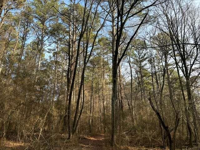 2994 Mt Zion Rd #1, Carrollton, GA 30117
