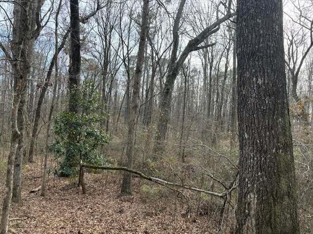 2994 Mt Zion Rd #3, Carrollton, GA 30117