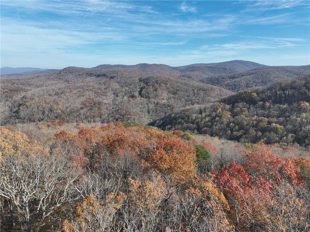 274 Andes Ridge, Ellijay, GA 30536