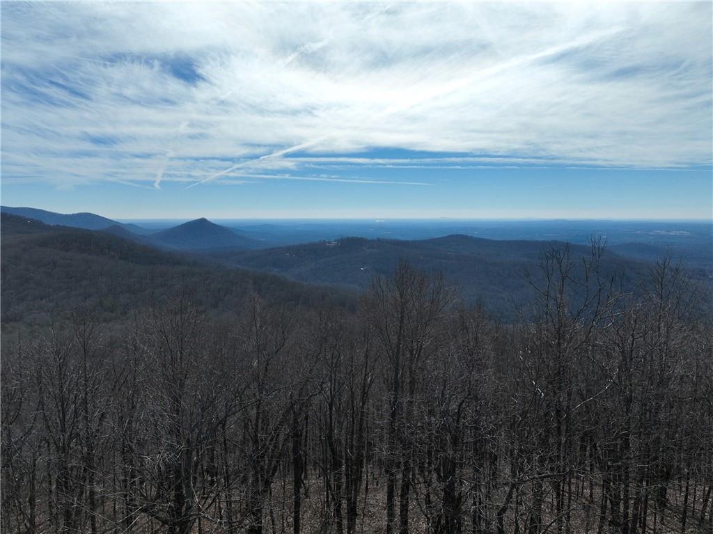 256 Blood Root Tr., Ellijay, GA 30536