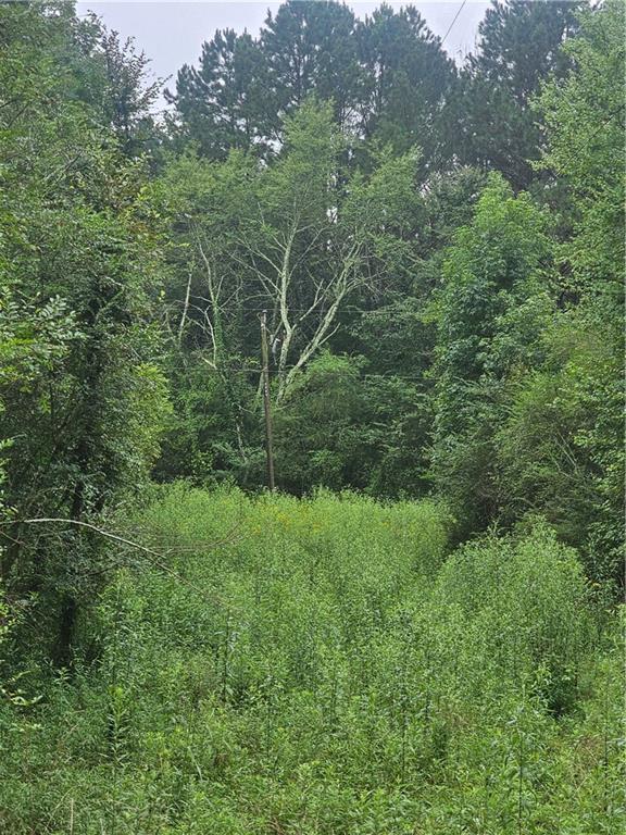 000 Crowe Springs Spur, Adairsville, GA 30103