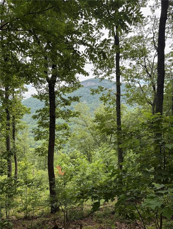 M23 Mountainside Dr., Cleveland, GA 30528