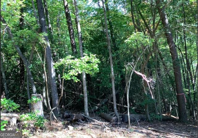 0.68 Valley View Rd., Ellijay, GA 30536