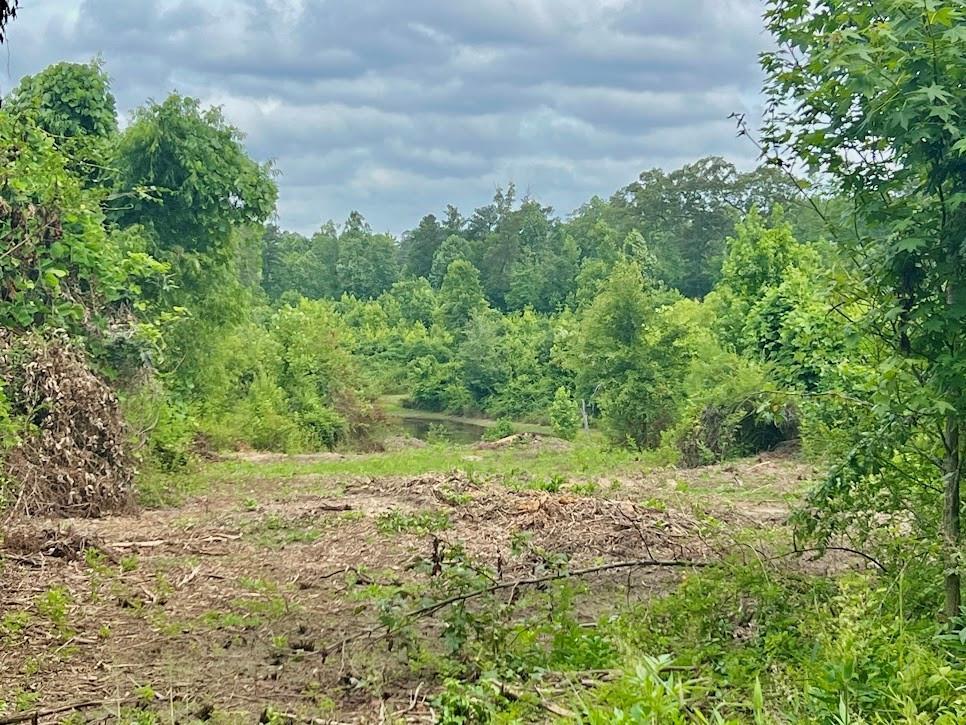 000 Folds (tract D - 22.67 Acres) Rd., Carrollton, GA 30116