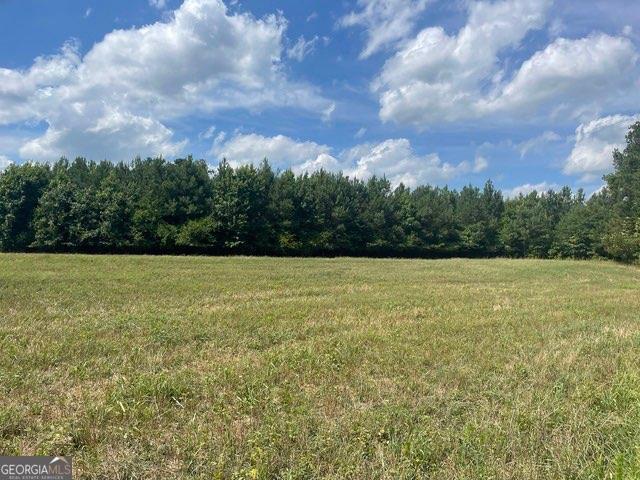 Cannon Rd., Sharpsburg, GA 30277