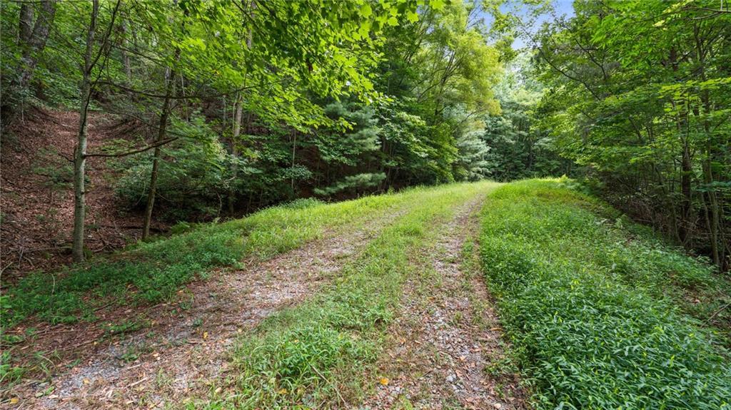LOT 10 Papa Bear Path, Cherry Log, GA 30522