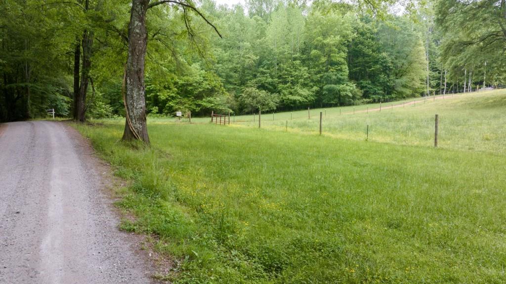 Louden Ridge Rd., Alto, GA 30510