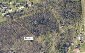 Birch St., Nicholson, GA 30565