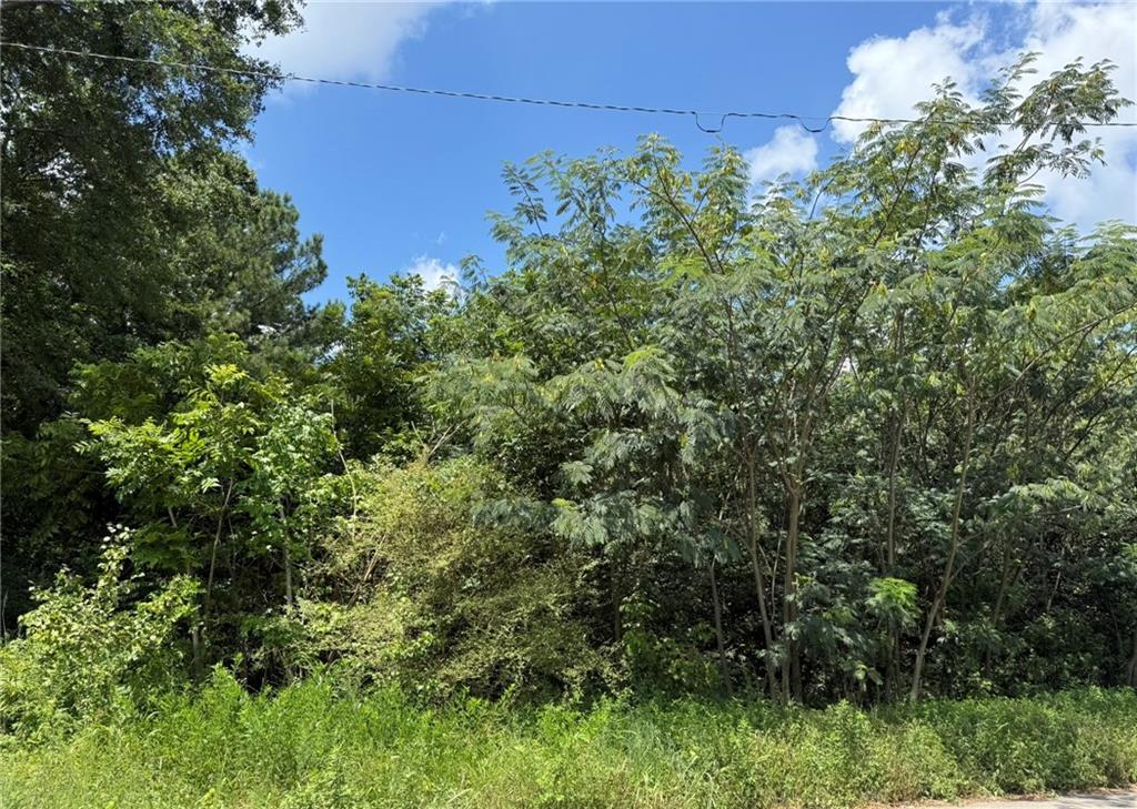 Beeler Dr., Atlanta, GA 30315