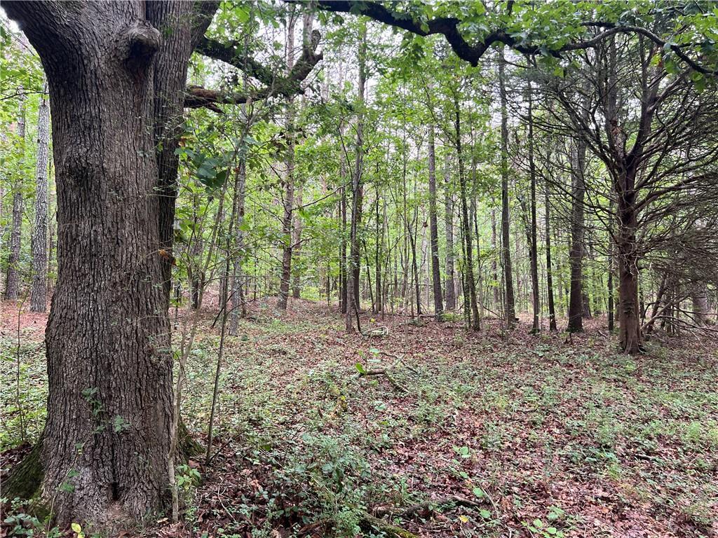 300 Timberwood Rd., White, GA 30184