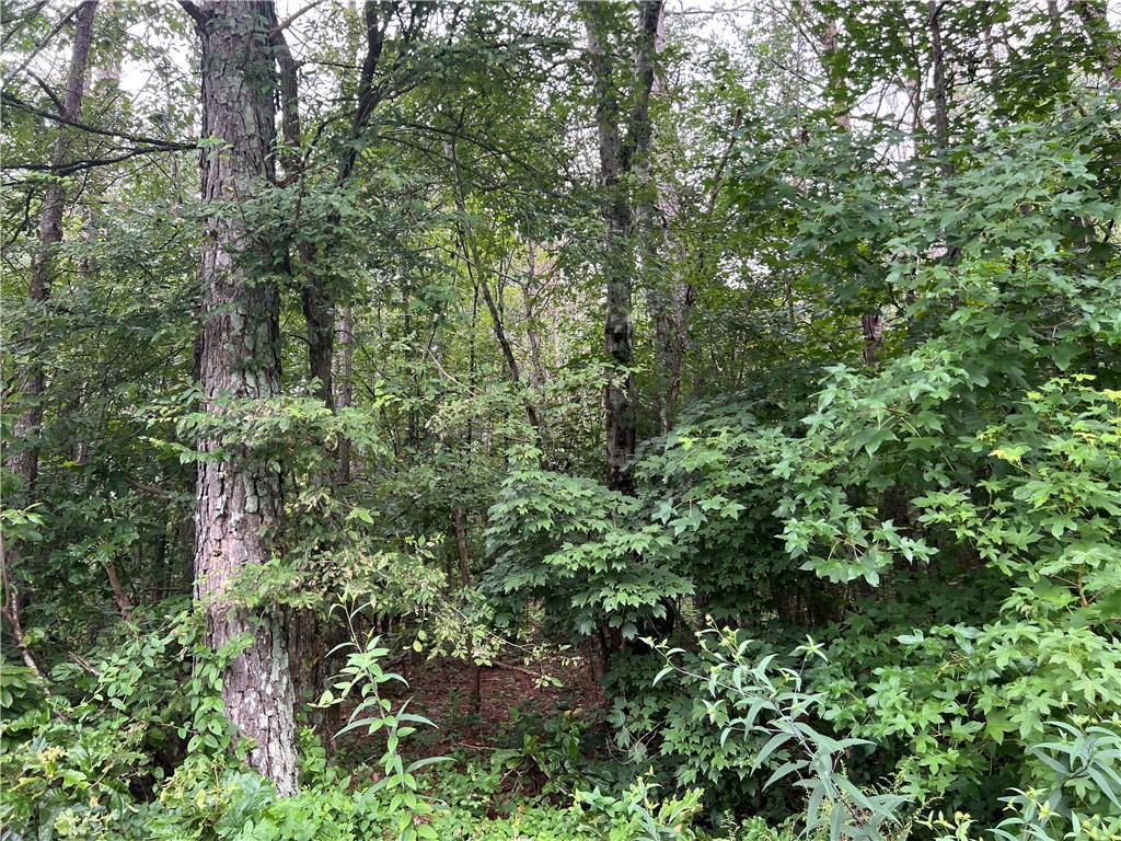 119 Kirk Rd., White, GA 30184