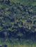 New Homes For Sale This Week in Cochran: August 8th to August 14th