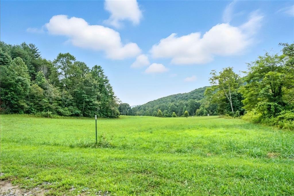 Old Bucktown Road, Ellijay, GA 30536
