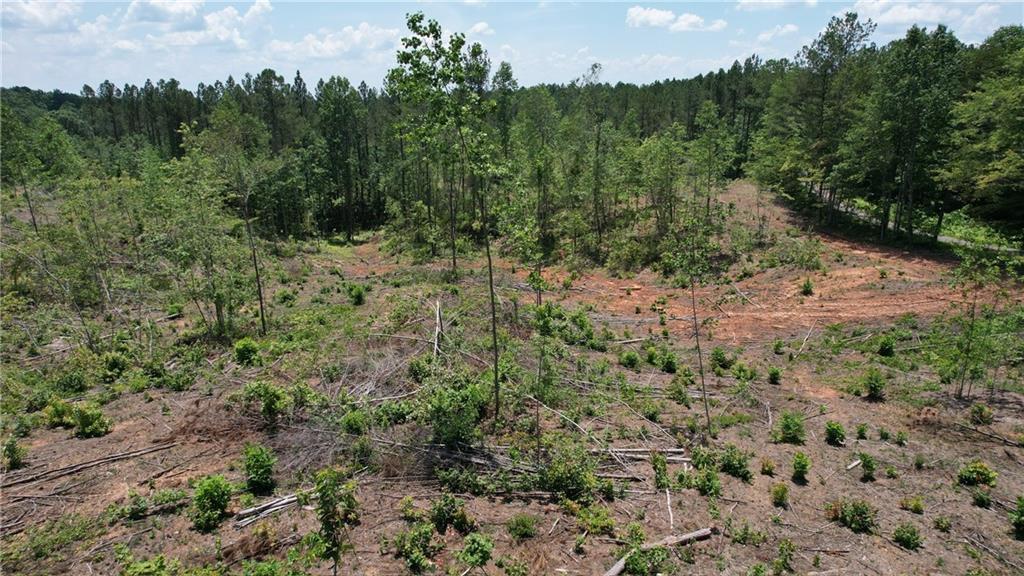 00 Little Mountain, Dawsonville, GA 30534