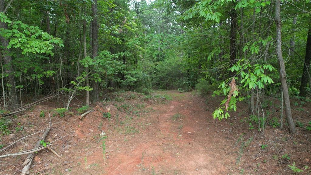 00 Little Mountain, Dawsonville, GA 30534