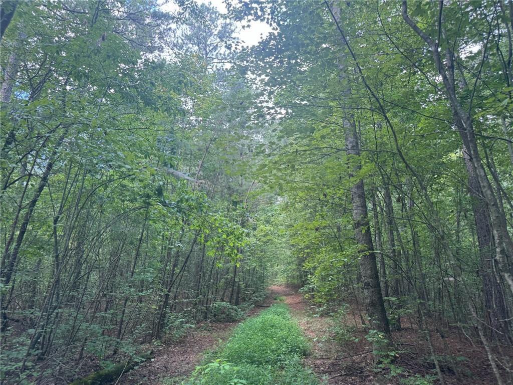 00 Tanner Hall Rd., Dawsonville, GA 30534