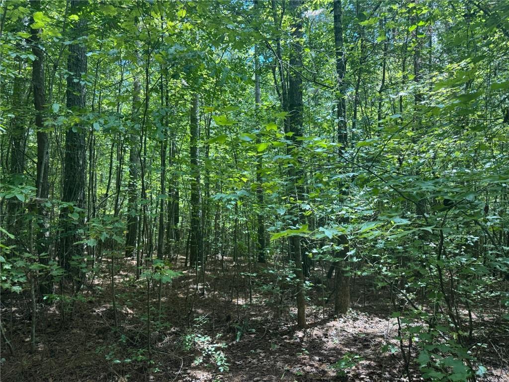 00 Tanner Hall Rd., Dawsonville, GA 30534