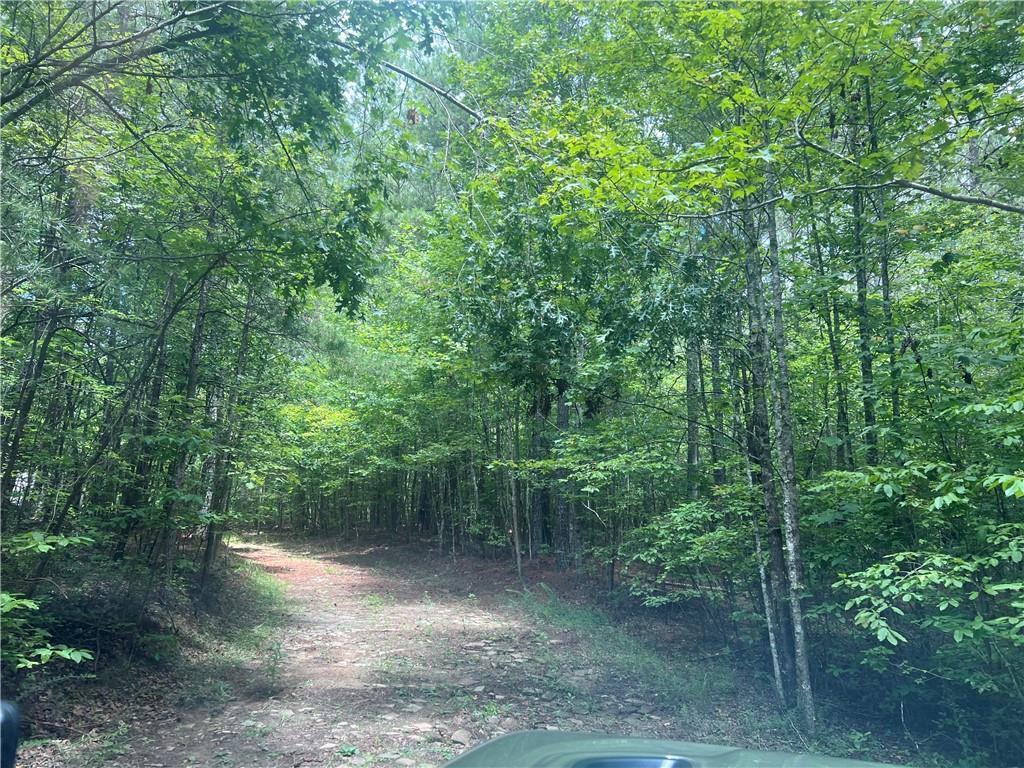 00 Tanner Hall Rd., Dawsonville, GA 30534