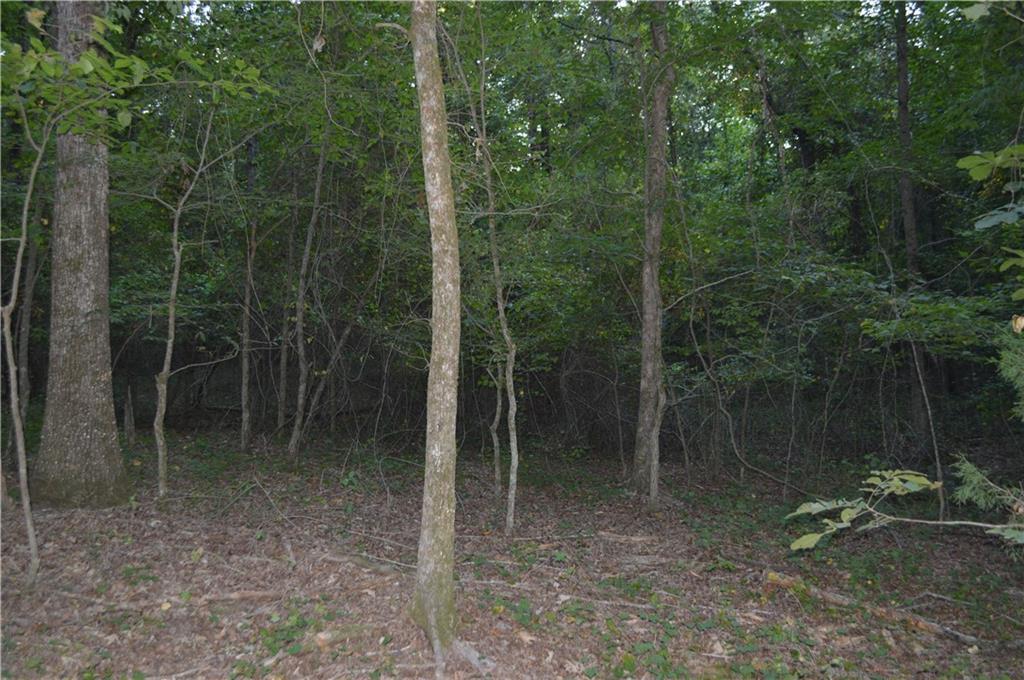 5 Ripplewood Tr., Euharlee, GA 30145