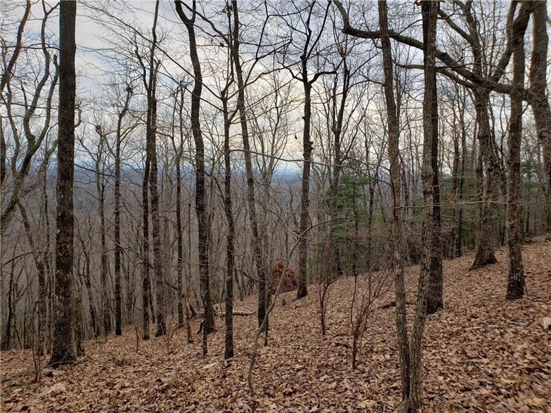8242 Cox Mountain Dr., Big Canoe, GA 30143