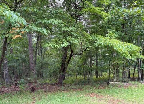 Lot 13 Olivia Ln., Canton, GA 30115