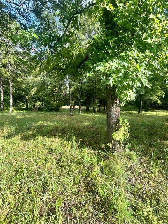 1040 Perryman Rd, Buckhead, GA 30625