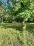 New Homes For Sale This Week in Buckhead: August 8th to August 14th