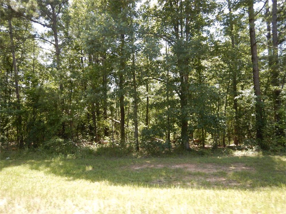 2771 Carey Station Rd St., Greensboro, GA 30043